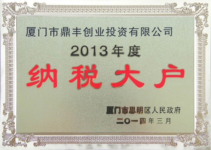 鼎丰创投评委2013纳税大户